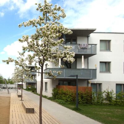 Projekt: Wohnanlage in der Messestadt München-Riem Wohnanlage in der Messestadt München-Riem